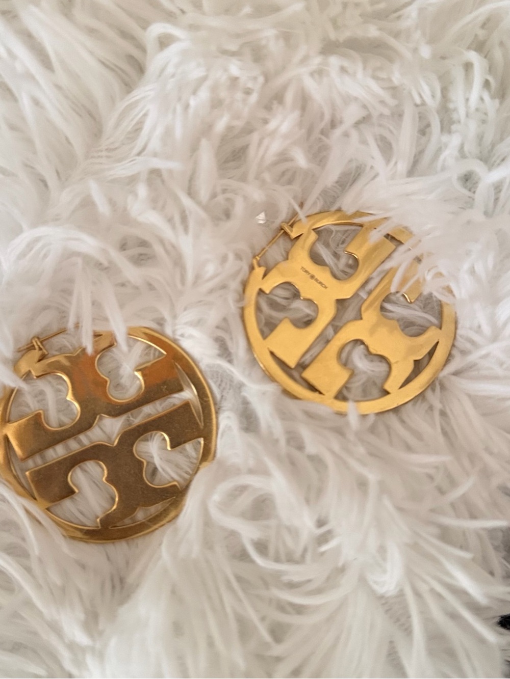Earrings (Jewelry) not in list